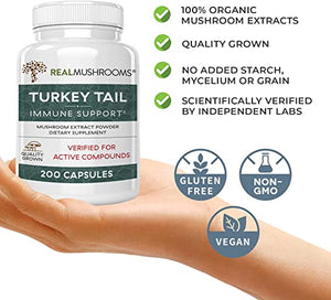 Real Mushrooms Turkey Tail Mushroom Supplements for Immune Support, Wellness, Vitality | Vegan, Non-GMO Turkey Tail Capsules (200 Capsules / 100 Day Supply)