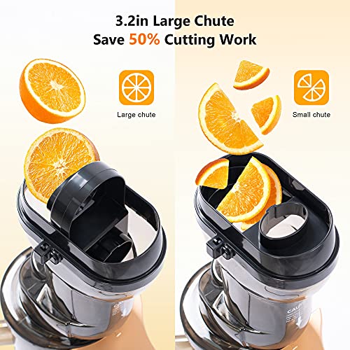 Slow Masticating Juicer High Yield,MOLTRES Cold Press Juicer Machine with Quiet Motor, Juicer Extractor with Reverse Function for Vegetables and Fruits Supplies a Brush Easy to Clean