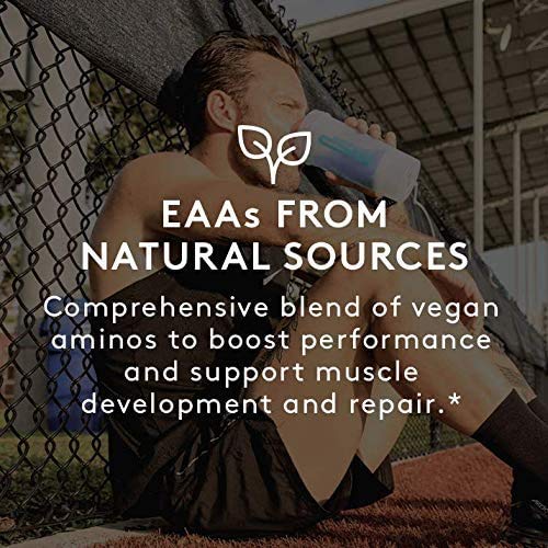 RSP Nutrition Mango Aminolean Amino Acid Supplement, 8.29 OZ