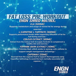 Evlution Nutrition ENGN Shred Pre Workout Powder, Energy, 30 Servings (Blue Raz)