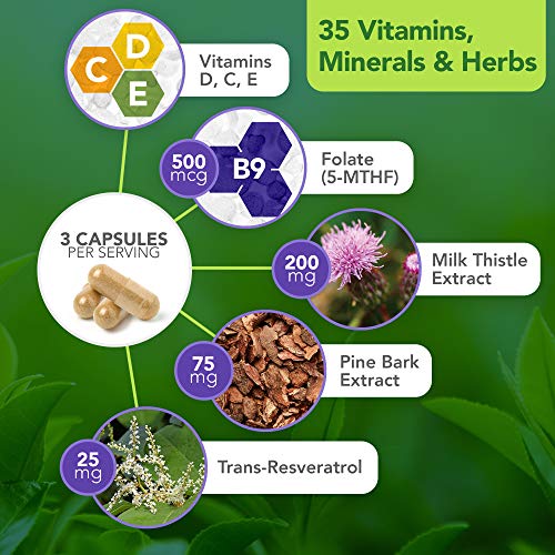 Vital Plan Prevention Plus Daily Multivitamin by Dr. Bill Rawls - Herbal Antioxidant & Multimineral for Women & Men - Vitamins A B D C E, Biotin & Zinc