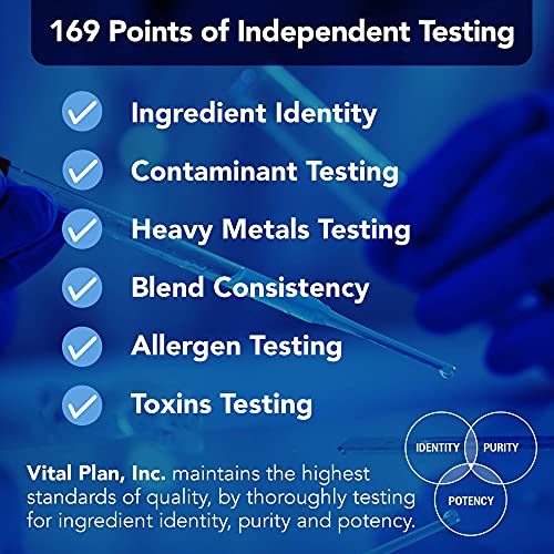 Vital Plan Gut Balance Supplement by Dr. Bill Rawls - Advanced Digestive Health Support Formula w/ Clinical-Grade Slippery Elm Bark, Berberine & Dandelion Extract for Women & Men (180 Capsules)