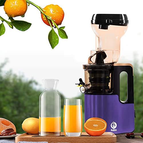 Slow Masticating Juicer High Yield,MOLTRES Cold Press Juicer Machine with Quiet Motor, Juicer Extractor with Reverse Function for Vegetables and Fruits Supplies a Brush Easy to Clean