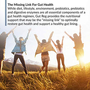 BioTRUST Gut Reg Supports a Healthy Gut Lining, Helps Restore Gut Health and Helps Relieve Occasional GI Discomfort with PepZin GI, L-Glutamine and Ginger Extract, Non-GMO, Gluten-Free (60 Capsules)