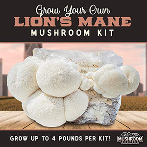 Grow Your Own Mushrooms Kit - Fully Colonized Lion's Mane Mushrooms - Indoor Grow Kit - Grow up to 4 Pounds