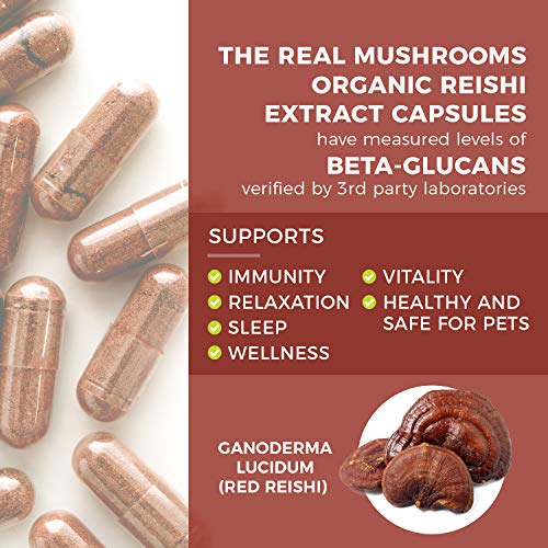 Real Mushrooms Reishi Mushroom Capsules for Longevity (90ct) Vegan, Non-GMO Reishi Extract, Reishi Mushroom Supplement for Relaxation, Better Sleep, Overall Wellness, Also Safe for Pets