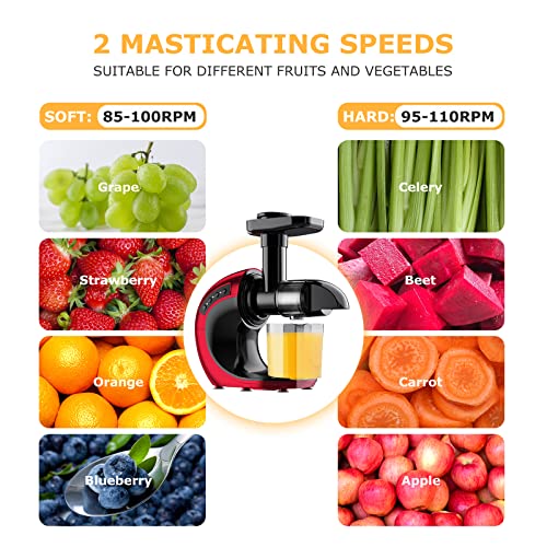 Slow Juicer Machines, FRESKO Masticating Juicer Extractor, Cold Press Juicer with 2-Speed Modes,Reverse Function & Quiet Motor for Vegetables And Fruits,BPA-Free Easy to Clean