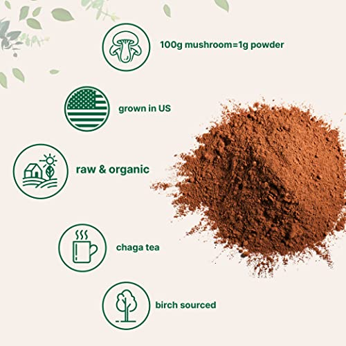 Sustainably Maine Grown, Wild Harvest Organic Chaga Mushroom Extract 100:1 Powder, Chaga Tea, 6 Ounce, for Immune System and Energy, Superfood for Beverage and Smoothie, Vegan Friendly