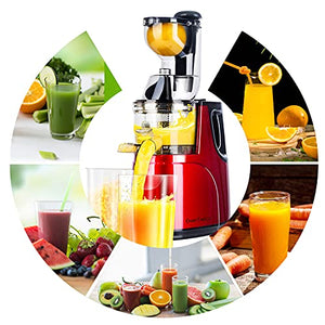 OverTwice Slow Masticating Juicer Cold Press Juice Extractor Apple Orange Citrus Juicer Machine with Wide Chute Quiet Motor for Fruit Vegetables