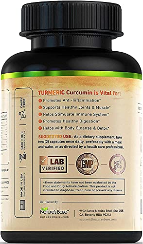 Turmeric Curcumin Supplement with Ginger & Apple Cider Vinegar (120 Count), BioPerine Black Pepper, Tumeric & Ginger, 95% Curcuminoids & Joint Supplement, Antioxidant Tumeric Supplements Capsules