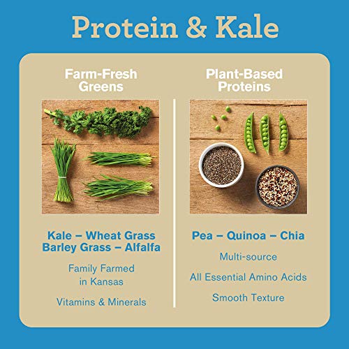 Amazing Grass Vegan Protein & Kale Powder: 20g of Organic Protein + 1 Cup Leafy Greens per Serving, Vanilla, 15 Servings