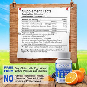 11 in 1 Immune Support Quercetin & Zinc 50mg Supplement with Vitamin C 1000mg, VIT D3 5000 IU, Echinacea, Turmeric, Elderberry and Bromelain - Immunity Booster for Adults Vegan Gluten Free - 60Ct