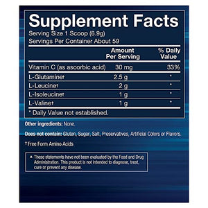 BCAA Glutamine Supports Muscle Endurance, Growth Recovery with Essential Amino Acids (14.01 Ounce Powder) by BodyTech