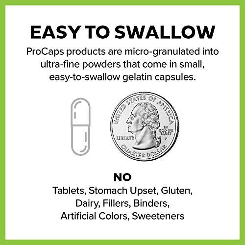 Andrew Lessman Quercetin 500-60 Capsules - 500 mg Unique Quercetin Phospholipid Complex, Highly Absorbable Formula to Support Healthy Heart, Circulatory and Immune Function. No Additives.