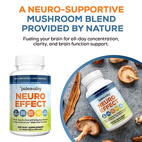 Paleovalley: NeuroEffect - Advanced Wellness and Immune Supplement - 112 Veggie Capsules - Natural Support for Focus, Memory, Stress Relief, and Energy - Flavorless - 8 Organic Mushroom Blend