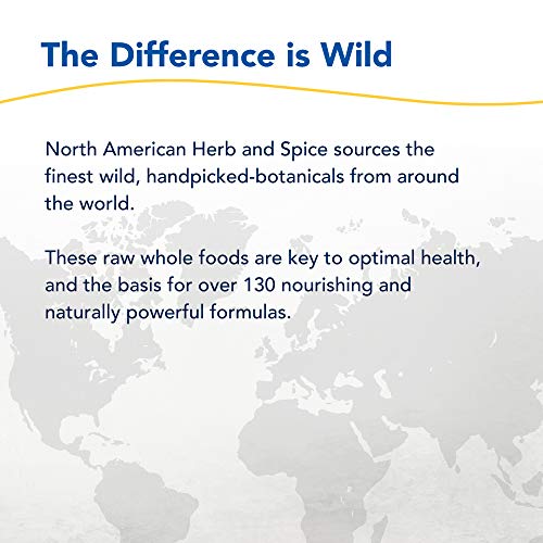 North American Herb & Spice NutriHemp Raw, Raspberry Extreme - 28.2 oz - Sprouted Brown Rice & Hemp Protein - with High-Antioxidant, Ketone-Rich Raspberry Powder - Vegan, Non-GMO - 28 Servings