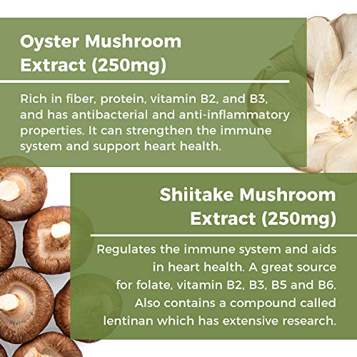 L-Ergothioneine Supplement, Oyster and Shitake Mushroom Extract, Immune Support Supplement with Beta Glucans, Longevity & Immune Support (60 Caps)