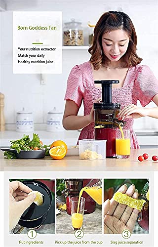 XUERUIGANG Quiet Dual-Stage Slow Speed Masticating Juicer Makes Fruit and Vegetable 80 Revolutions per Minute High Juice Output, 150-Watt（Red）