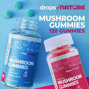 Mushroom Gummies - Ashwagandha Gummies, Lion’s Mane, Reishi, L-Theanine 2 Pack, Mushroom Powder Supplement Supports Immune Defense, Boosts Cognitive Performance, Vegan, 120 Gummy Chews