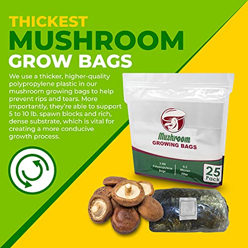 Reinforced Mushroom Grow Bags, 10 Count, Oyster Spawn and Grain Root Substrate Growing Kit with 0.2 Micron Filter, Large 8” x 5” x 20”, Thickest Available Heavy Duty 3 Mil Polypropylene Plastic