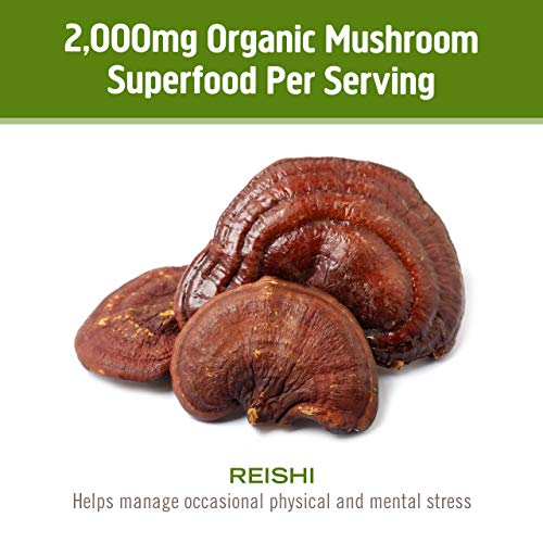 Om Mushroom Superfood Reishi Organic Mushroom Powder, 3.5 Ounce, 50 Servings , Adaptogen, Stress & Immune Support, Superfood Mushroom Supplement