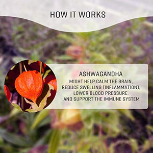 Ashwagandha Tincture - Organic Withania Somnifera Liquid Extract Promoting Stress Relief, Brain & Heart Function - Alcohol-Free Herbal Drops for Energy - Vegan, Non-GMO - 2 fl. Oz Bottle (2 FL OZ)