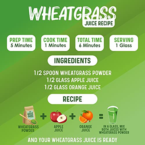 ALKA-G Wheat Grass Powder 16 Oz | Organic Wheat Grass Green Superfoods Powder Sustainably Grown in Indian | Instant Juice Powder Resealable Pack of 1