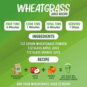 ALKA-G Wheat Grass Powder 16 Oz | Organic Wheat Grass Green Superfoods Powder Sustainably Grown in Indian | Instant Juice Powder Resealable Pack of 1