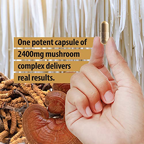 Natural Nootropic Organic Mushroom Complex - Lions Mane, Cordyceps & Reishi Mushroom Supplement as Brain Booster/Energy Pills Help Support Brain Power, Mental Clarity & Immune System, Veggie 2-Mons