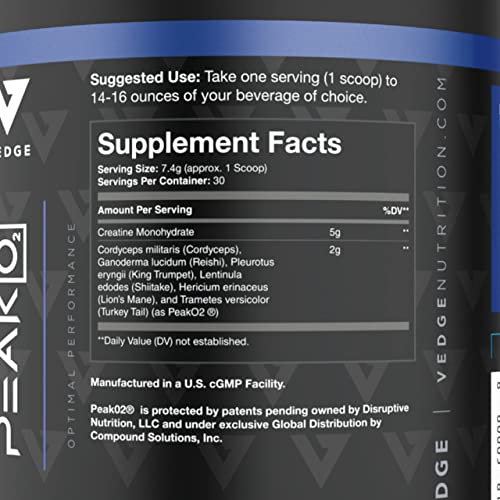 Vedge Nutrition Creatine + | Vegan Plant-Based Creatine Monohydrate Powder | Energy, Performance & Function | Ergogenic Aids for Athletes | Unflavored, 30 Servings