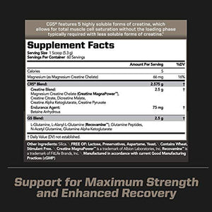PMD Sports CG5 - Premium Creatine and L-Glutamine Powder (60 Servings) & PMD Sports BCAA Stim Free Amino Acids for Enhanced Recovery – Blue Razz (30 Servings)