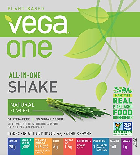 Vega One All-in-One Natural (22 Servings) - Plant Based Vegan Protein Powder, Non Dairy, Gluten Free, Non GMO, 30.4 Ounce (Pack of 1)