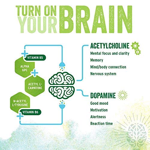 BrainJuice Brain Booster Shot, Decaffeinated Peach Mango | Liquid Drink Supplement for Improved Memory, Focus, Clarity & Mood, Gluten-Free, Non-GMO | 2.5 fl oz, 12 Count