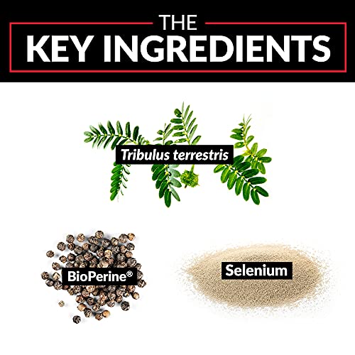 Tribulus Terrestris for Men, Testosterone Booster and Male Vitality Supplement, Tribulus Extract and Natural Ingredients for Superior Absorption, Fundamental Series, 1000mg, Force Factor, 60ct, 3-Pack