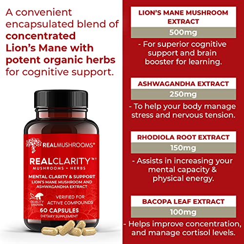 Real Mushrooms RealClarity Brain Supplement Mushroom Powder Capsules - Mushroom Supplement for Mental Clarity, Focus, Cognition, Daily Immune Support - Organic Lions Mane Capsules w Ashwagandha, 60ct