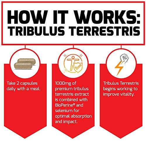 Tribulus Terrestris for Men, Testosterone Booster and Male Vitality Supplement, Tribulus Extract and Natural Ingredients for Superior Absorption, Fundamental Series, 1000mg, Force Factor, 60ct, 3-Pack