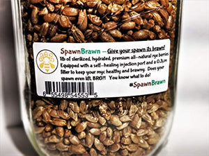 Sterilized Rye Grain Berries Seeds for Mushroom Spawn | Quart Jars with Filter and Self-Healing Injection Port (1)