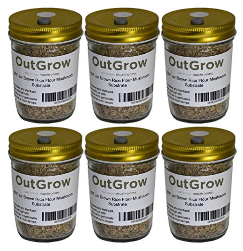 BRF Jars Brown Rice Flour Mushroom Substrate (6 Pack)