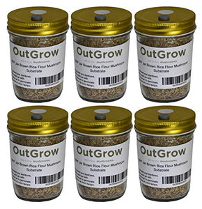 BRF Jars Brown Rice Flour Mushroom Substrate (6 Pack)