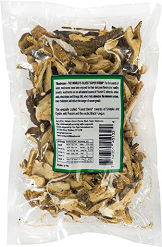 Mushroom House Dried Wild Forest Blend Mushrooms, 4 Oz