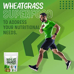 ALKA-G Wheat Grass Powder 16 Oz | Organic Wheat Grass Green Superfoods Powder Sustainably Grown in Indian | Instant Juice Powder Resealable Pack of 1