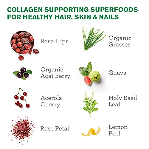 Amazing Grass Green Superfood Beauty: Greens Powder with Biotin & Collagen Supporting Superfoods, Strawberry Lemonade, 30 Servings