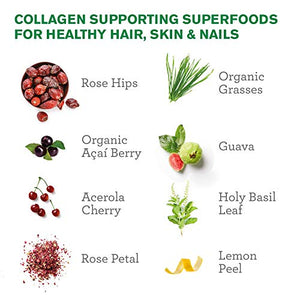 Amazing Grass Green Superfood Beauty: Greens Powder with Biotin & Collagen Supporting Superfoods, Strawberry Lemonade, 30 Servings