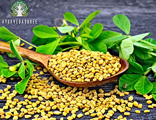 AYURVEDASHREE Fenugreek Seeds Powder 100 Gm I Trigonella foenum-graecum Sd. | Methi Powder | Spice Indian Cuisine | Hair Care | Improves Digestion