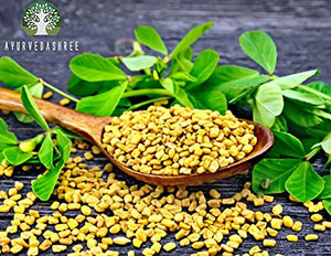 AYURVEDASHREE Fenugreek Seeds Powder 100 Gm I Trigonella foenum-graecum Sd. | Methi Powder | Spice Indian Cuisine | Hair Care | Improves Digestion