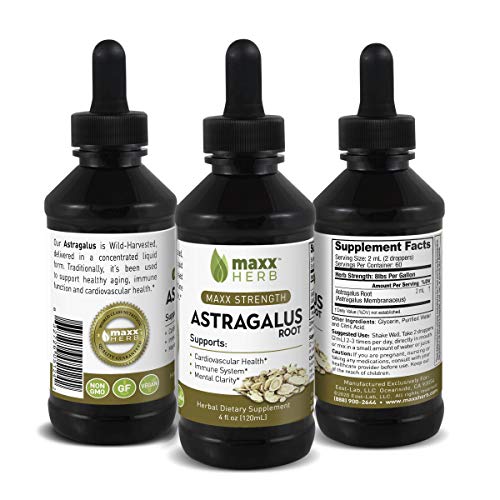 Maxx Herb Astragalus Root Extract - Astragalus Tincture Absorbs Better Than Astragalus Capsules, Astragalus Extract for Immune Support and Mental Clarity - 4 Oz Bottle (60 Servings)