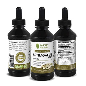 Maxx Herb Astragalus Root Extract - Astragalus Tincture Absorbs Better Than Astragalus Capsules, Astragalus Extract for Immune Support and Mental Clarity - 4 Oz Bottle (60 Servings)