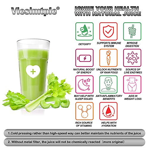 Viesimple Masticating Juicer Cold Press Juicers Machine Easy to Clean Slow Juicer Extractor for Vegetable Fruit Juice Smoothies, Large WIDE 3.15” Turn Over Wide Chute, Quite Low db Juicer Machine