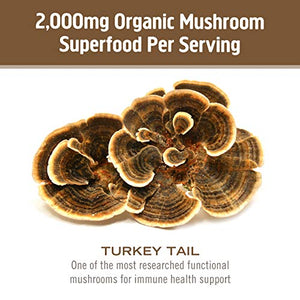 Om Mushroom Superfood Turkey Tail Mushroom Capsules Superfood Supplement, 90 Count, 30 Days, Immune Support, Polysacchrides, Beta-Glucans, Gut Health & Holistic Defense Mushroom Supplement