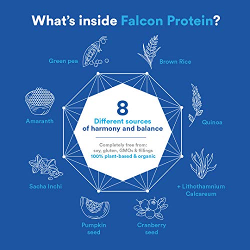 Birdman Falcon Organic Vegan Protein Powder with BCAAs, 33 Servings, No Fillers, Plant Based, Keto, Low Carb, Low Calorie, Dairy Free, Gluten Free, Non-GMO, Vanilla, 2.18lb